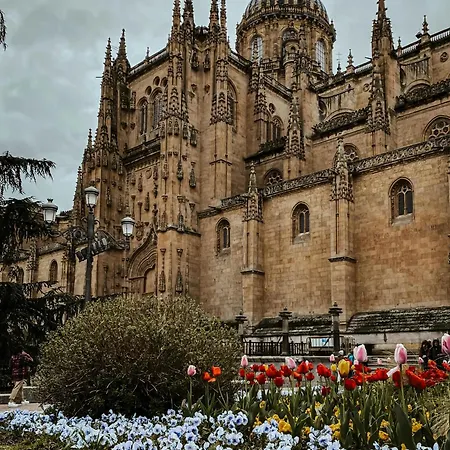 Centro, Hospital Y Campus Universitario A 5 Minutos - Camas De Primera - Lavadora - Smarttv - Wifi 1 Gb - Teletrabajo Salamanca
