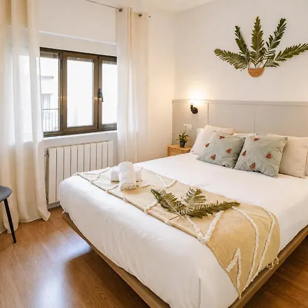 Premium - Centro A Un Paseo - Hospital Y Campus 5 Min - 3 - Camas Premium - Fibra 1gb * Salamanca