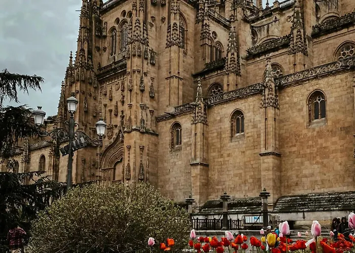 Centro, Hospital Y Campus Universitario A 5 Minutos - Camas De Primera - Lavadora - Smarttv - Wifi 1 Gb - Teletrabajo Σαλαμάνκα